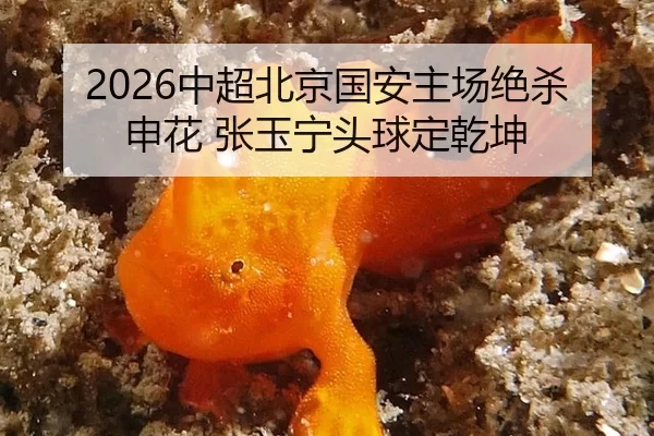 zhong-chao-bei-jing-guo-an-zhu-chang-jue-sha-shen-hua-zhang-yu-ning-tou-qiu-ding-qian-kun-2-888.jpg